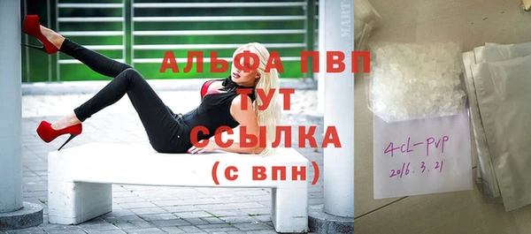крисы Алексин