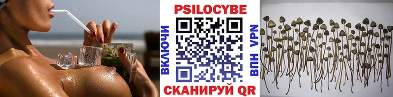 Галлюциногенные грибы Psilocybine cubensis  МЕГА зеркало  Канск 