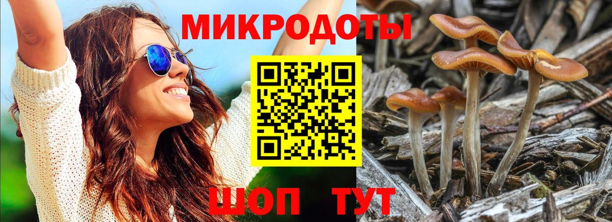 даркнет сайт  Вход с VPN  Псилоцибиновые грибы ЛСД  Канск  Псилоцибиновые грибы мицелий 
