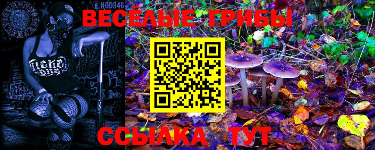 Галлюциногенные грибы мухоморы Канск